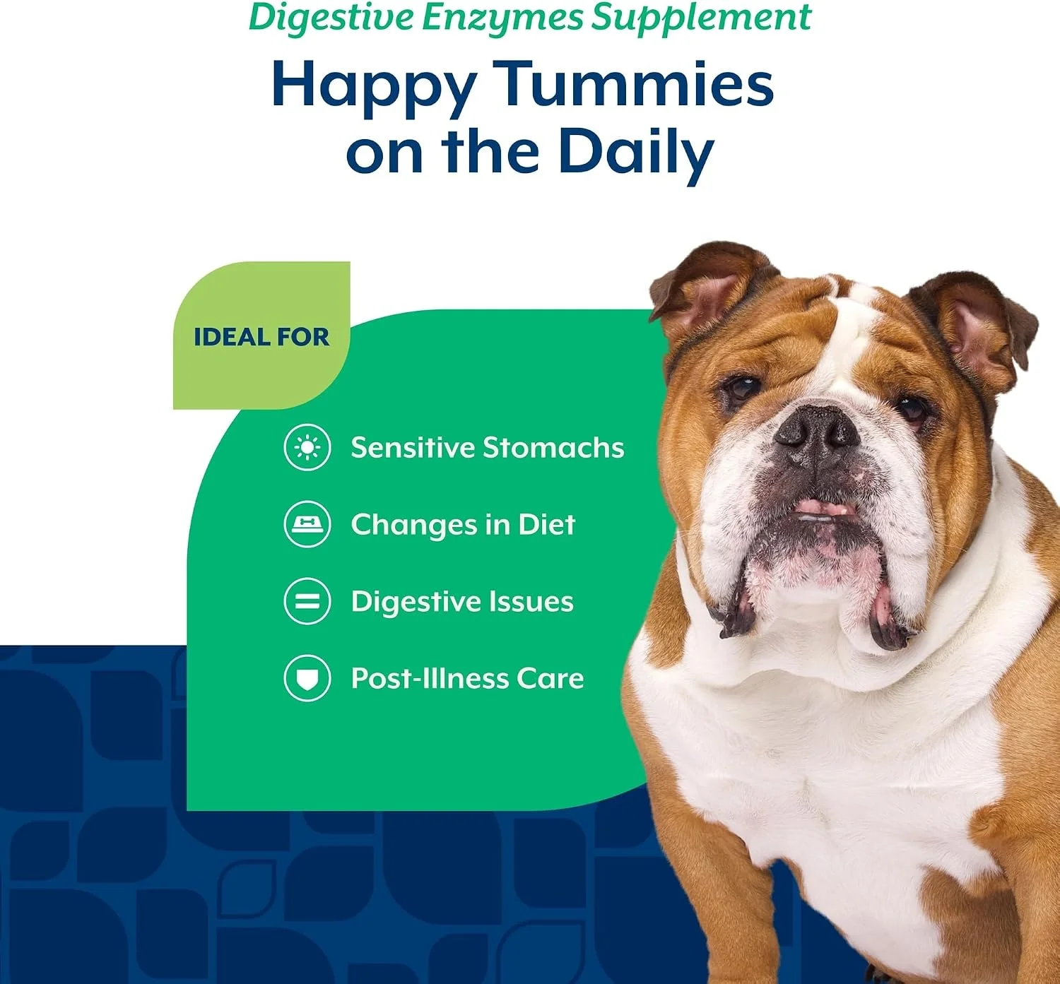 Diagram showing how digestive enzymes work in a dog's system