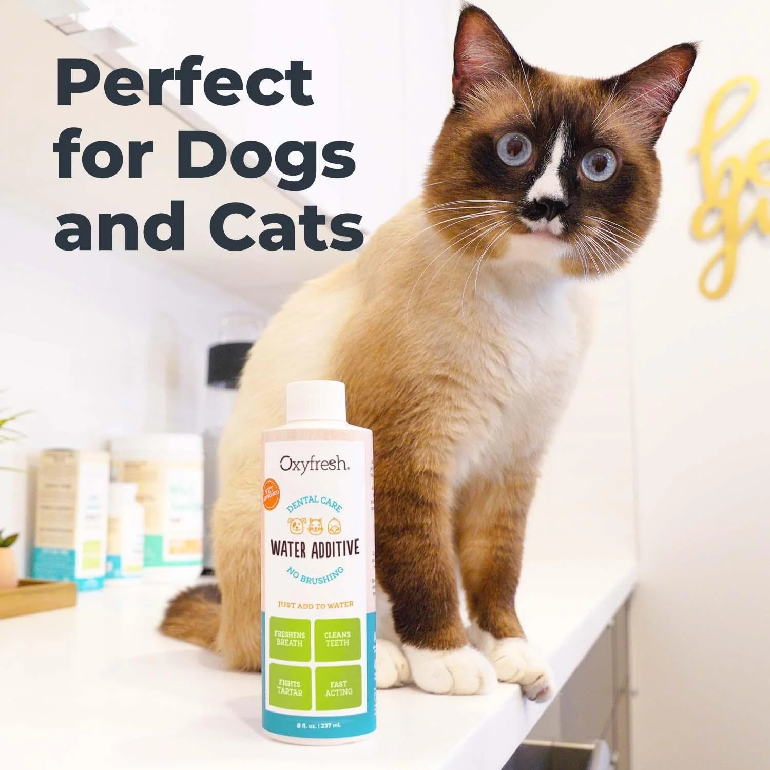 Illustration showing benefits of Oxyfresh for pet dental health