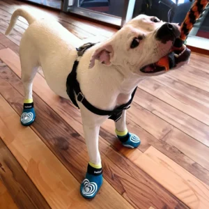 PawFlex Comfy Pawz Cotton Dog Socks view 3