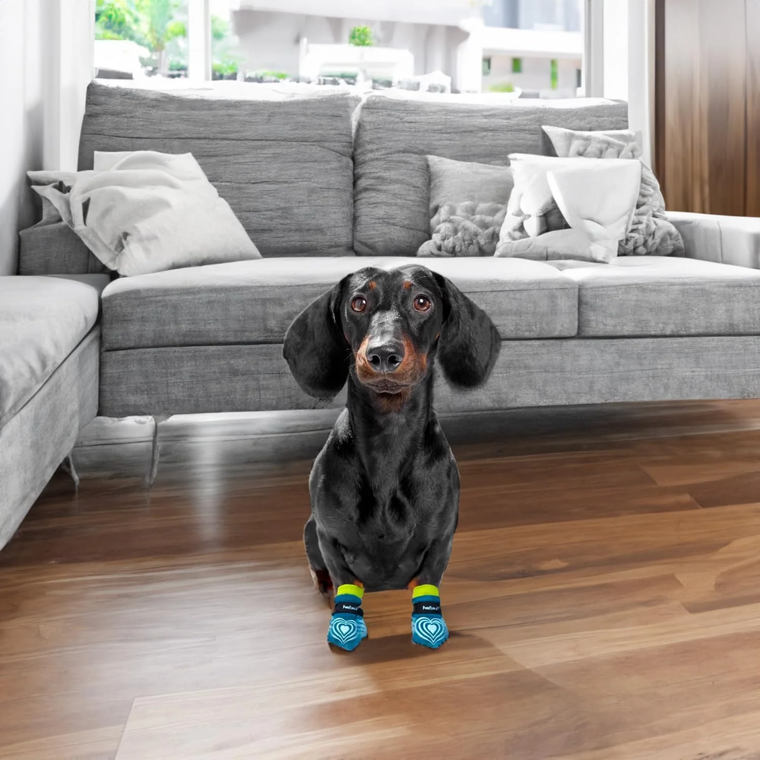 Lifestyle image of a happy senior dog enjoying indoor activities with PawFlex Comfy Pawz Non-Slip Dog Socks
