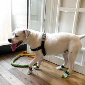 PawFlex Comfy Pawz Socks view 3