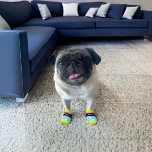 PawFlex Comfy Pawz Socks view 5