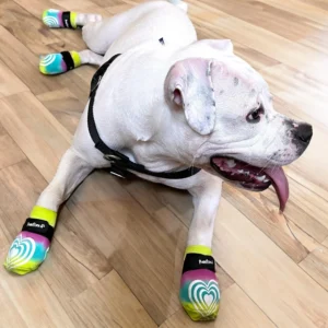 PawFlex Comfy Pawz Socks view 7