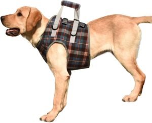 ROZKITCH Dog Lift Harness