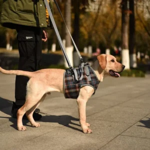 ROZKITCH Dog Lift Harness view 6