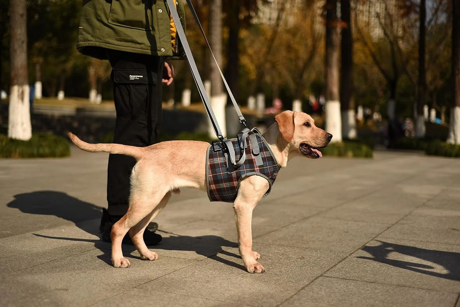Side view showing the supportive straps of the ROZKITCH Dog Lift Harness