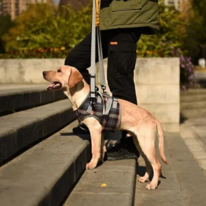 ROZKITCH Dog Lift Harness view 7