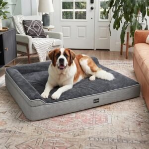 Sytopia Orthopedic Dog Bed