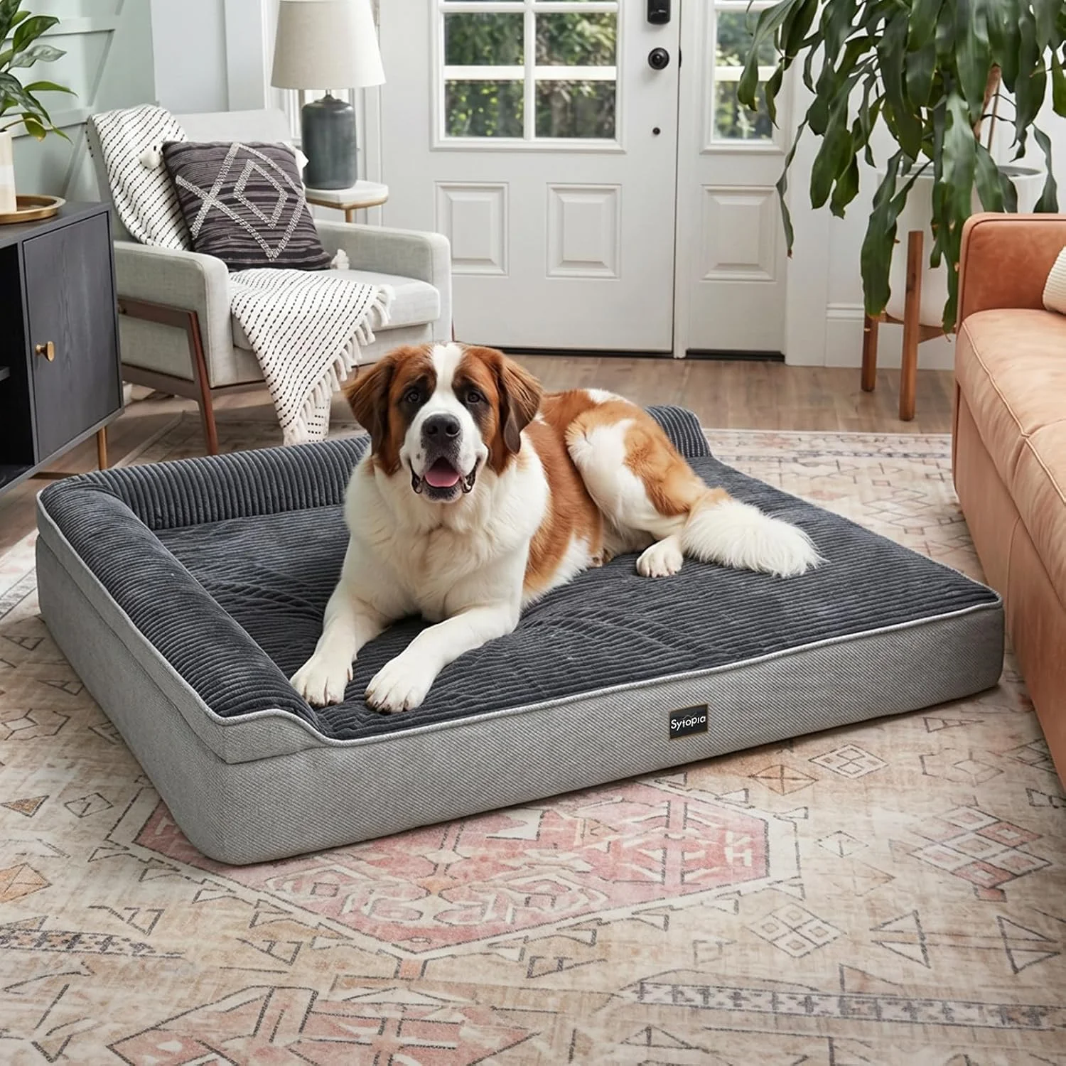 Sytopia Orthopedic Dog Bed showcasing its plush cushioning for senior dogs