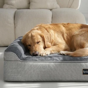 Sytopia Orthopedic Dog Bed