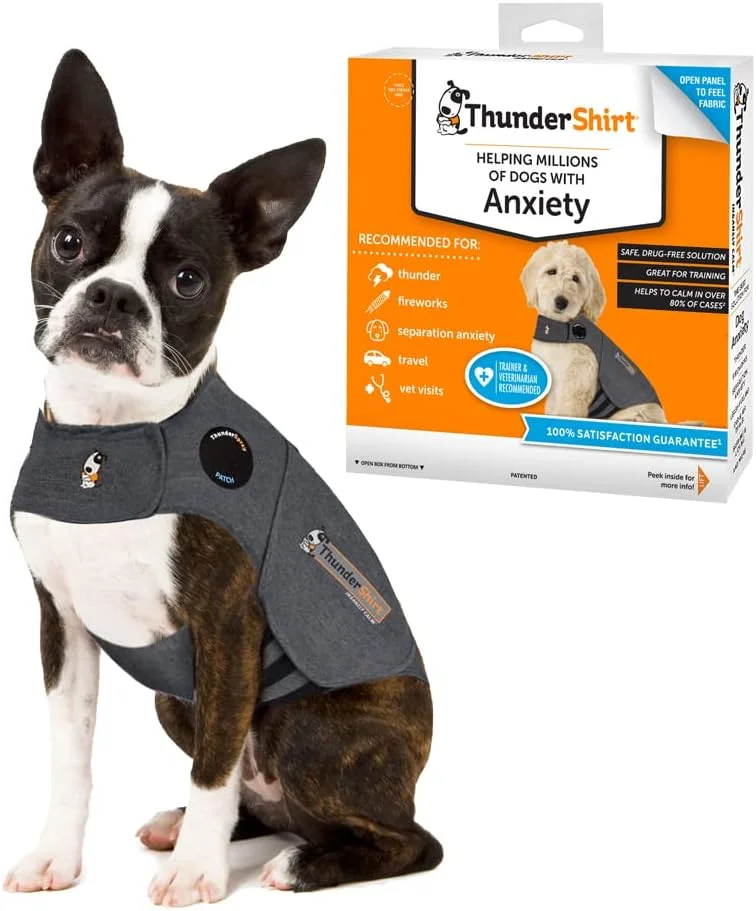 Side view of a dog wearing the ThunderShirt, showing proper fit