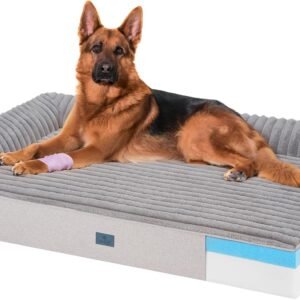 Veehoo Orthopedic Dog Bed