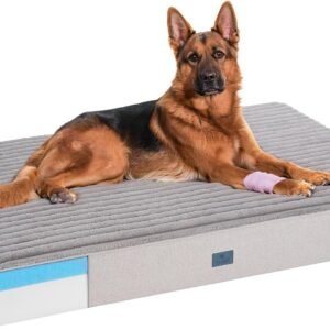 Veehoo Orthopedic Memory Foam Dog Bed