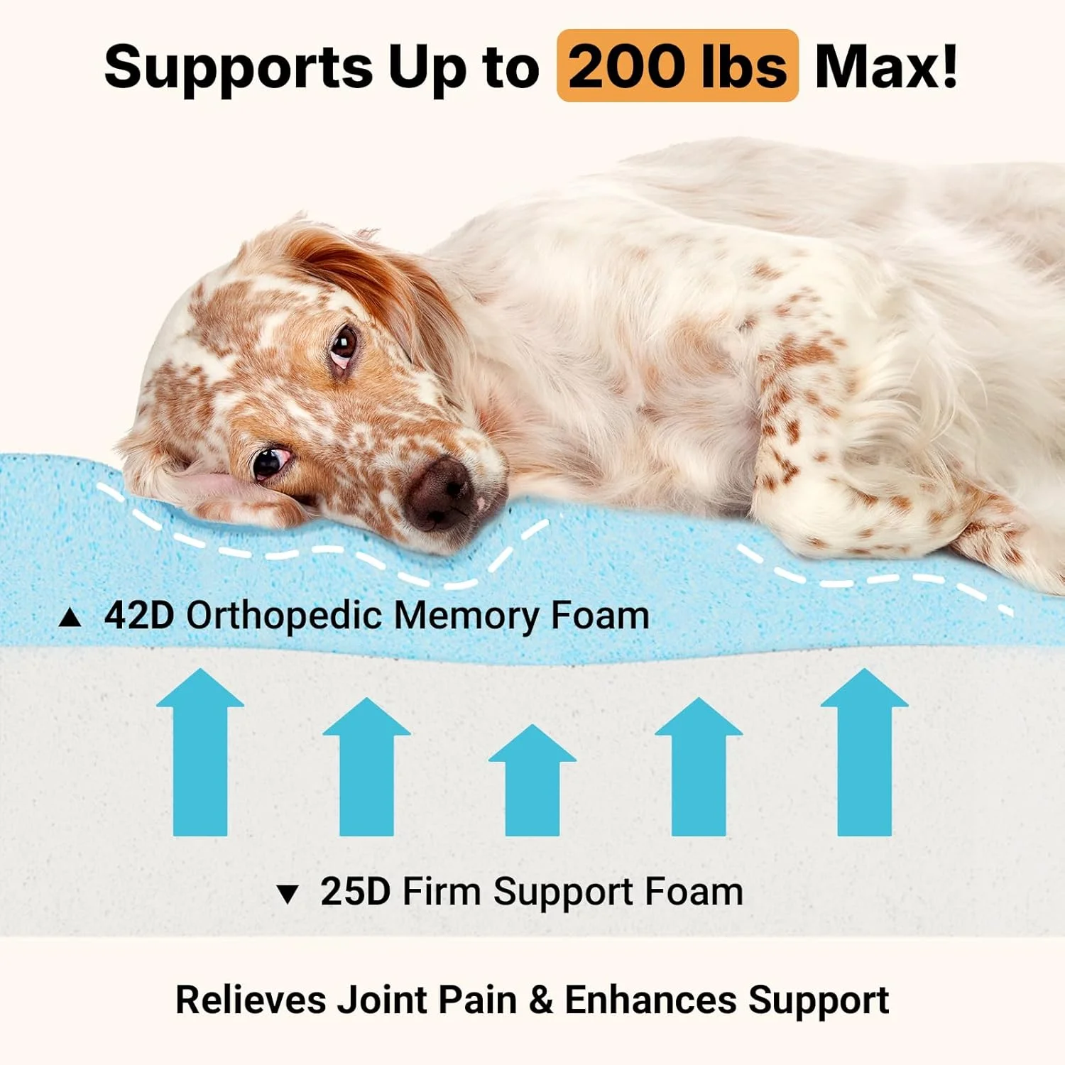 Extra-large Veehoo dog bed allowing a large dog to stretch