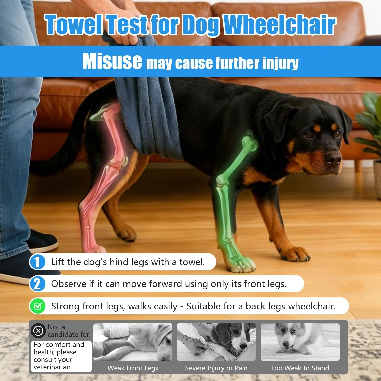 Secure harness straps for hind leg support