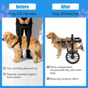 2-Wheel Dog Wheelchairs for Back Legs, Adjustable Pet Rehabilitation Walking Aid & Mobility Support Cart for Medium/Large Dogs, Weight Capacity 44-77 lbs - Size XXL view 7