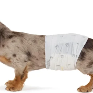 Amazon Basics Absorbent, Leakproof Male Dog Wrap Disposable Diapers with Wetness Indicator, Breathable, Small, White, 50-Pack view 1