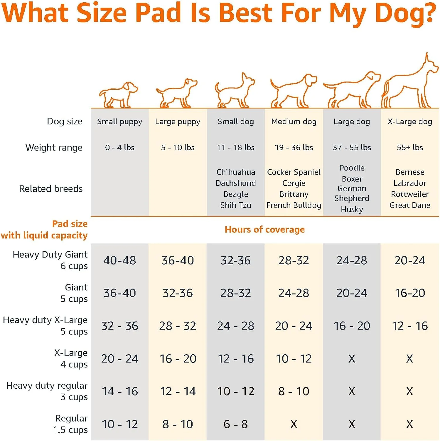 Puppy using training pad