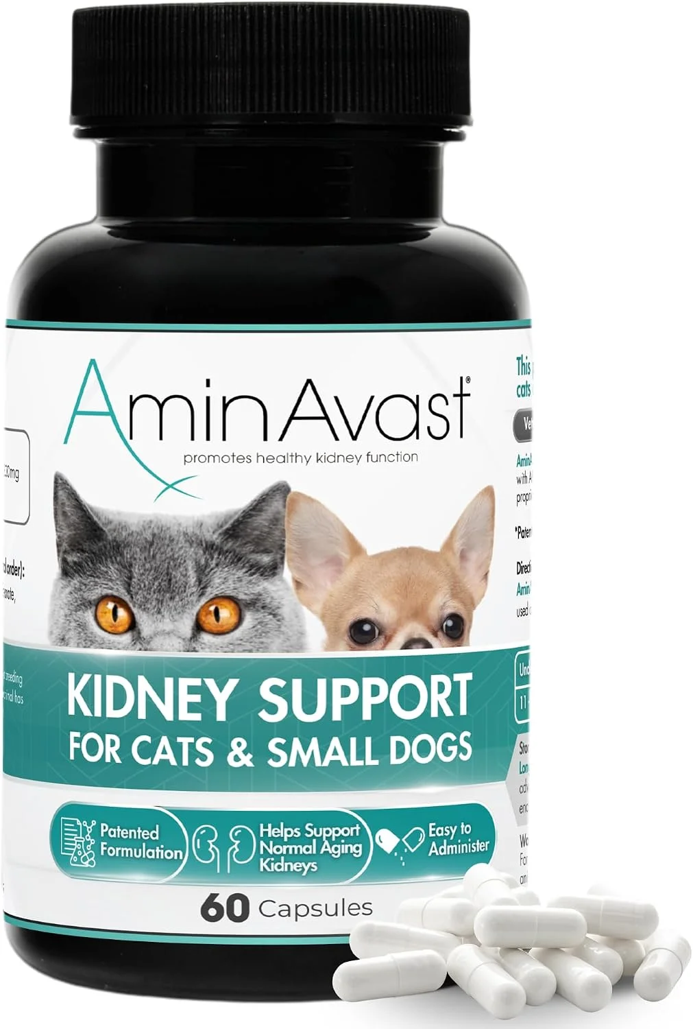 Senior cat receiving kidney support supplement