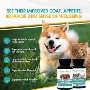 AminAvast Small Dogs & Cat Kidney Support - Promotes Healthy Kidney Support in Cats & Small Dogs - 300mg, 60 Capsule view 2
