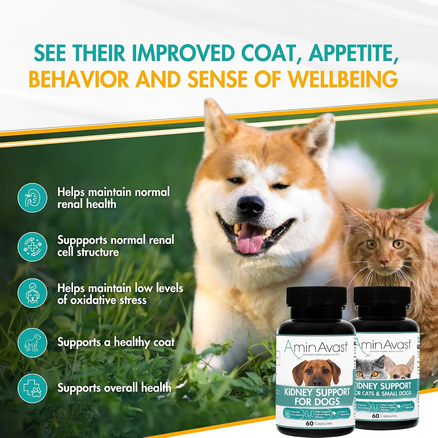 AminAvast kidney support capsules