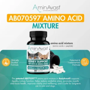 AminAvast Small Dogs & Cat Kidney Support - Promotes Healthy Kidney Support in Cats & Small Dogs - 300mg, 60 Capsule view 3
