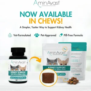 AminAvast Small Dogs & Cat Kidney Support - Promotes Healthy Kidney Support in Cats & Small Dogs - 300mg, 60 Capsule view 4