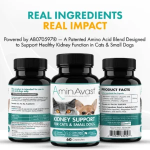 AminAvast Small Dogs & Cat Kidney Support - Promotes Healthy Kidney Support in Cats & Small Dogs - 300mg, 60 Capsule view 5