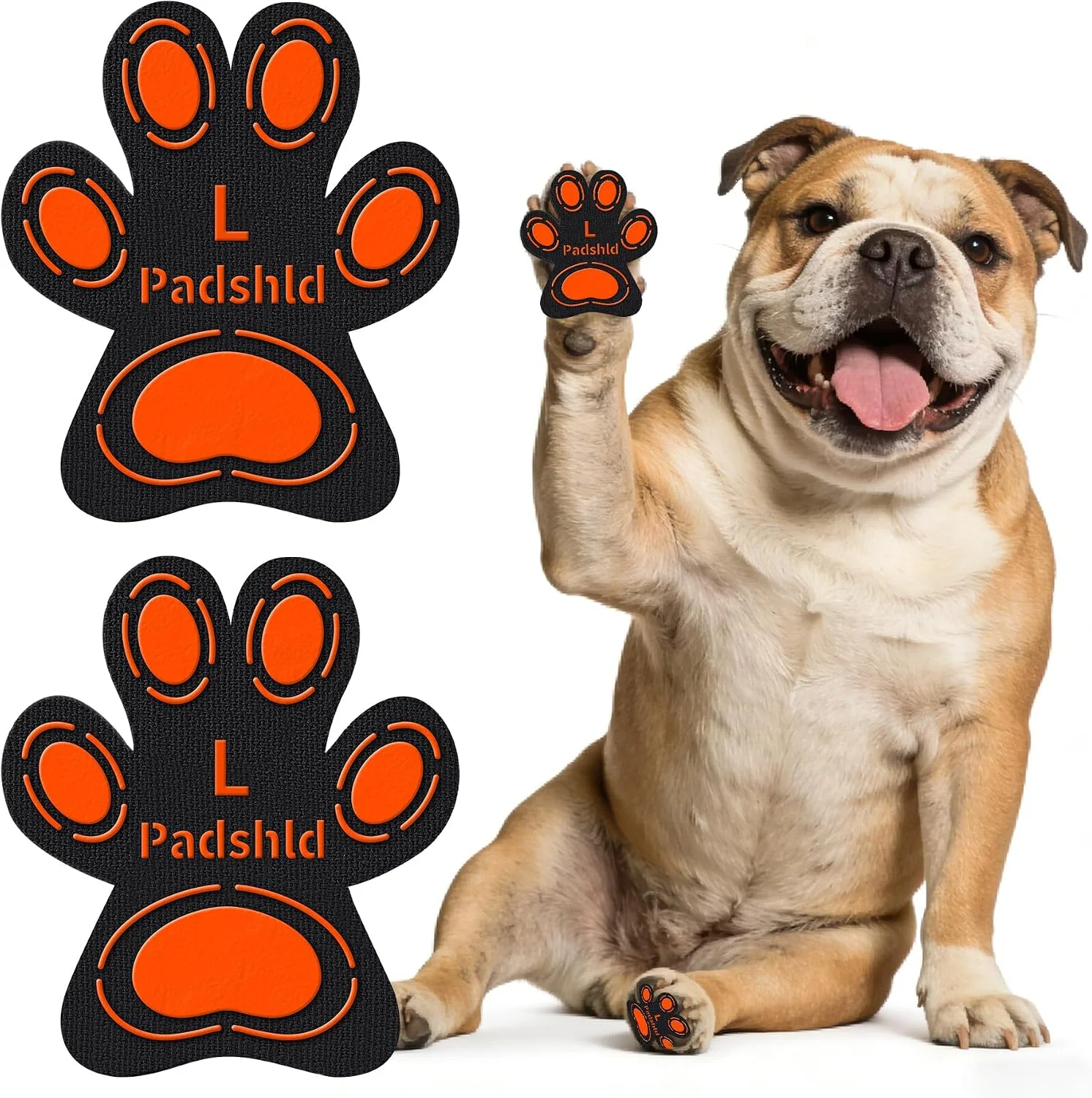 Senior dog walking confidently with anti-slip paw pads