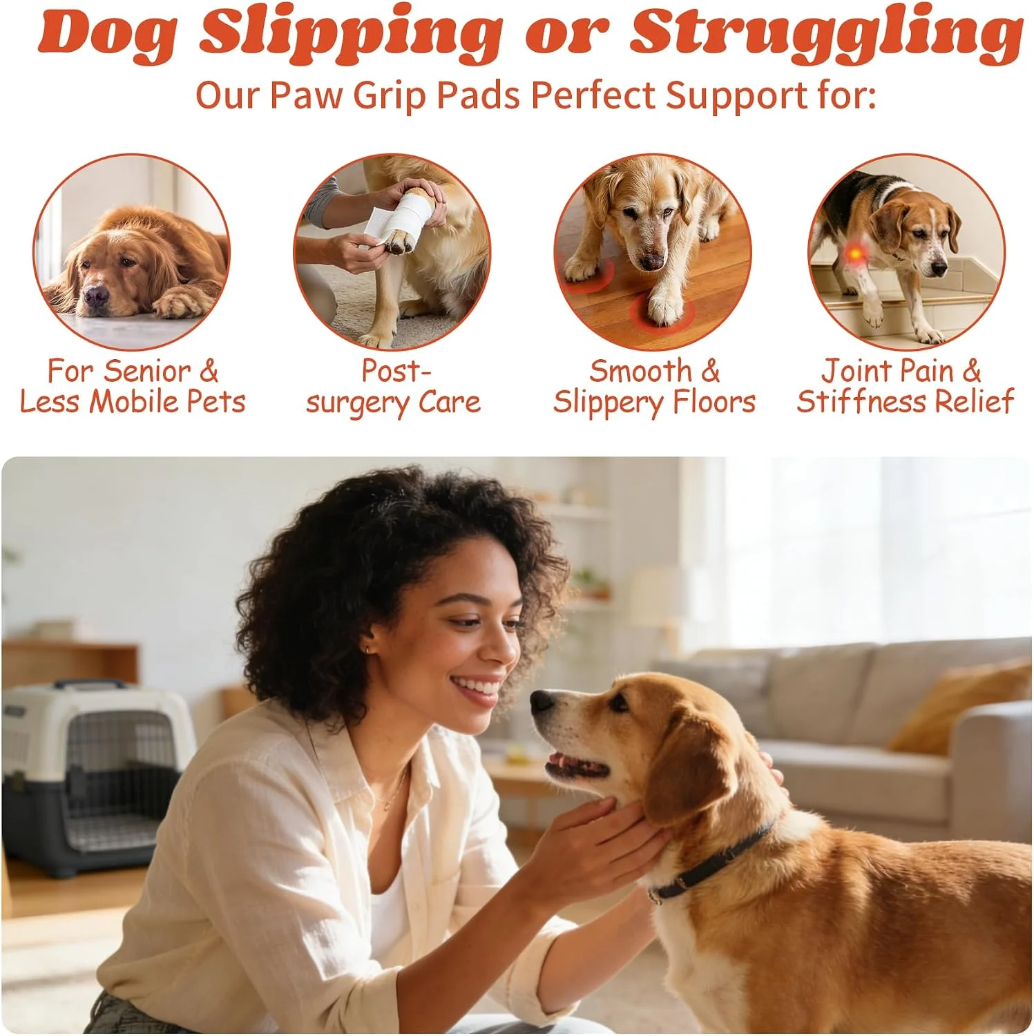 Dog playing comfortably with paw pads