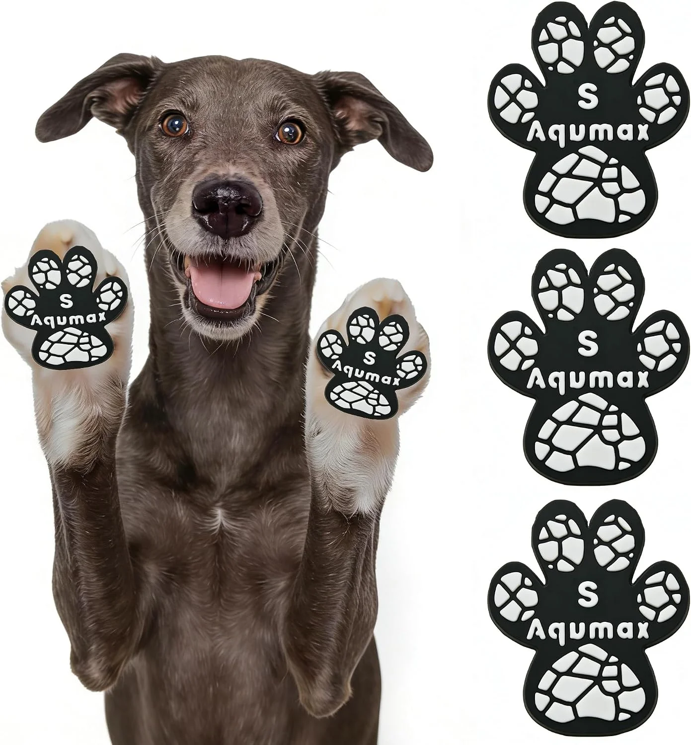 Senior dog walking confidently on hardwood floors with traction pads