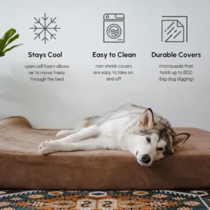Barker Beds Large Orthopedic Dog Bed - 7" Memory Foam Mattress - 50-70 lbs - Joint Pain & Arthritis Support - Vet Recommended, Washable Cover - Made in USA - 48"x30"x7" - Khaki view 6