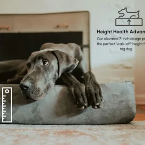 Barker Beds Large Orthopedic Dog Bed - 7" Memory Foam Mattress - 50-70 lbs - Joint Pain & Arthritis Support - Vet Recommended, Washable Cover - Made in USA - 48"x30"x7" - Khaki