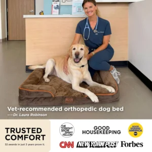 Bedsure Orthopedic Dog Beds for Extra Small Dogs- Washable Dog Cat Bed Waterproof, Comfort Pet Couch Sofa with Washable Removable Cover, Pets Bed with Nonskid Bottom, Grey, 20" view 2