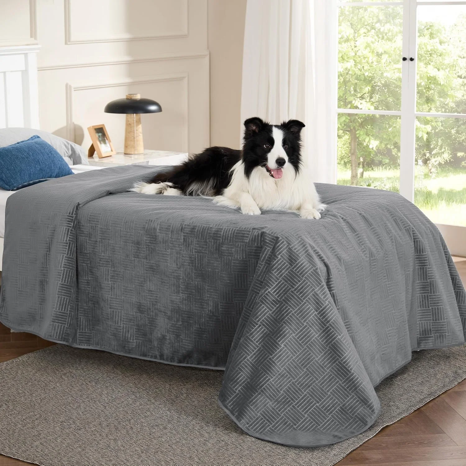 Senior dog resting comfortably on a protected sofa with the Bedsure blanket