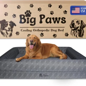 Big Paws Cooling Orthopedic Dog Bed for XL & Senior Dogs + Enclosed Support, High-Density Memory Foam, Waterproof Liners, Washable Cover, Charcoal Gray, Large view 1