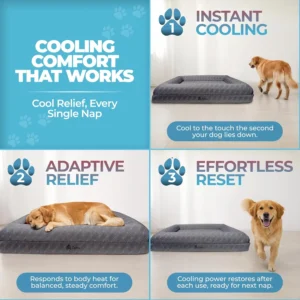 Big Paws Cooling Orthopedic Dog Bed for XL & Senior Dogs + Enclosed Support, High-Density Memory Foam, Waterproof Liners, Washable Cover, Charcoal Gray, Large view 4