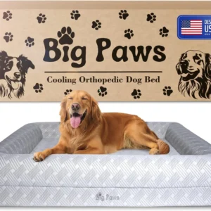 Big Paws Cooling Orthopedic Dog Bed for XL & Senior Dogs + Enclosed Support, High-Density Memory Foam, Waterproof Liners, Washable Cover, Charcoal Gray, Large