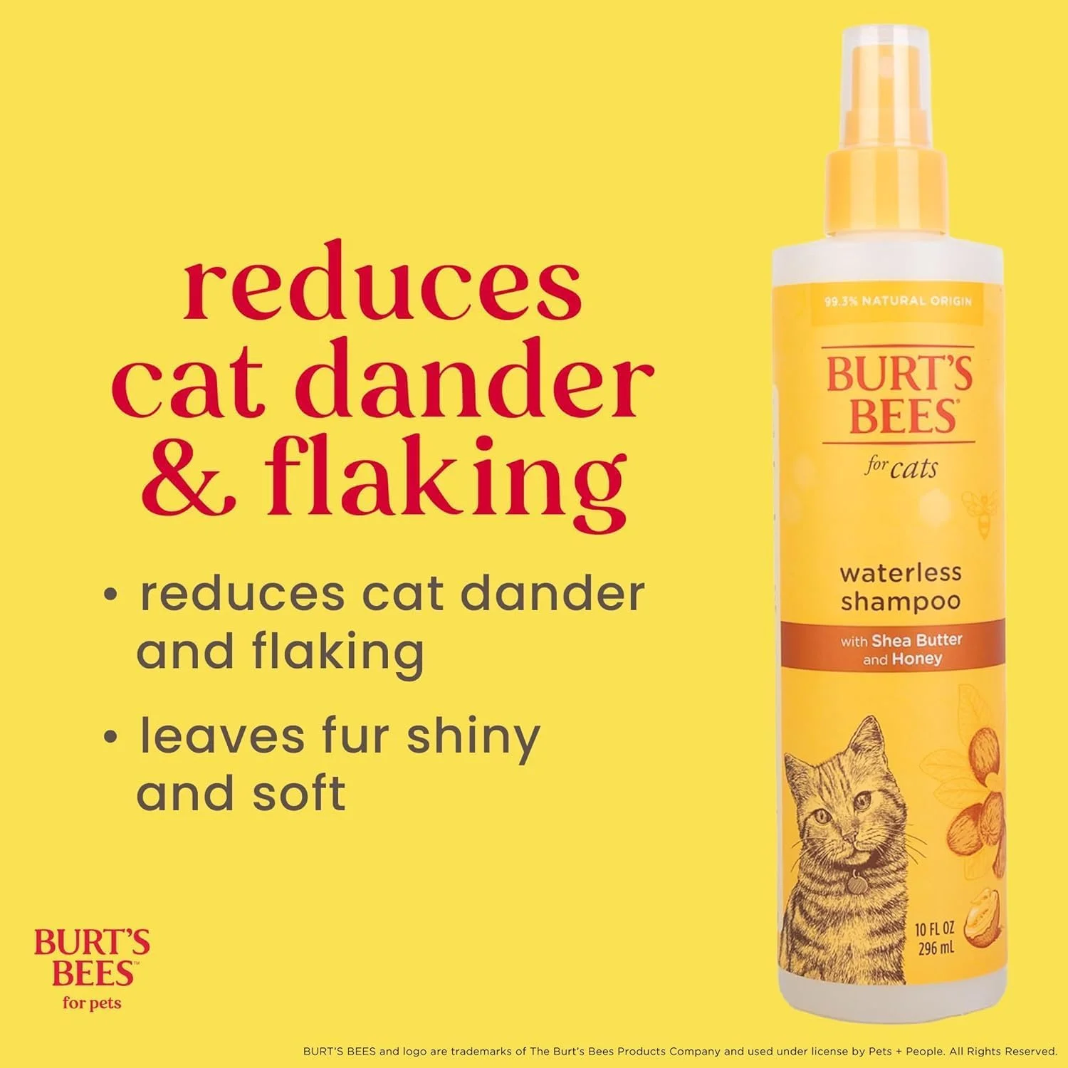 Senior cat receiving grooming care
