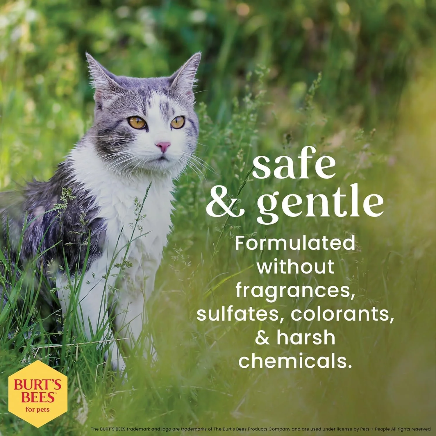 Burt's Bees for Pets high-quality grooming standards