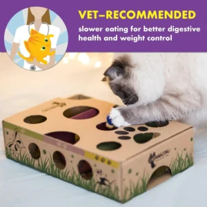Cat Amazing Interactive Treat Maze and Puzzle CAT Toy view 4