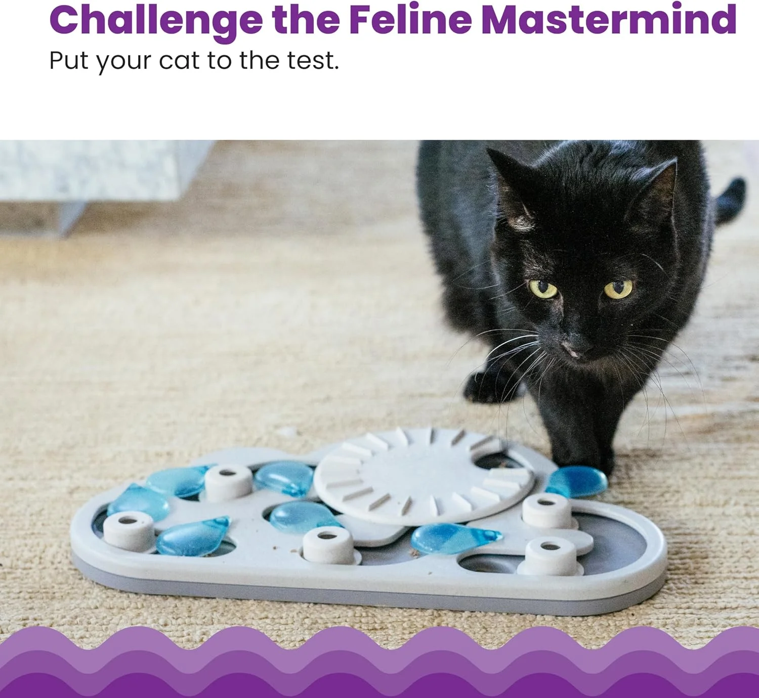 Close up of cat pawing at puzzle compartments