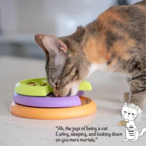 Catstages Kitty Lickin' Layers Interactive Cat Slow Feeder Treat Puzzle Toy, Dry or Wet Food, Mental Stimulation, Foraging Toy with 80+ Compartments view 6
