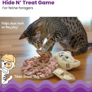 Catstages Snuffle Mat for Cats - Interactive Foraging Toy with Hidden Treats, Non-Slip Base, and Hunting Stimulation for Mental and Physical Activity, 8.7" x 6" view 2