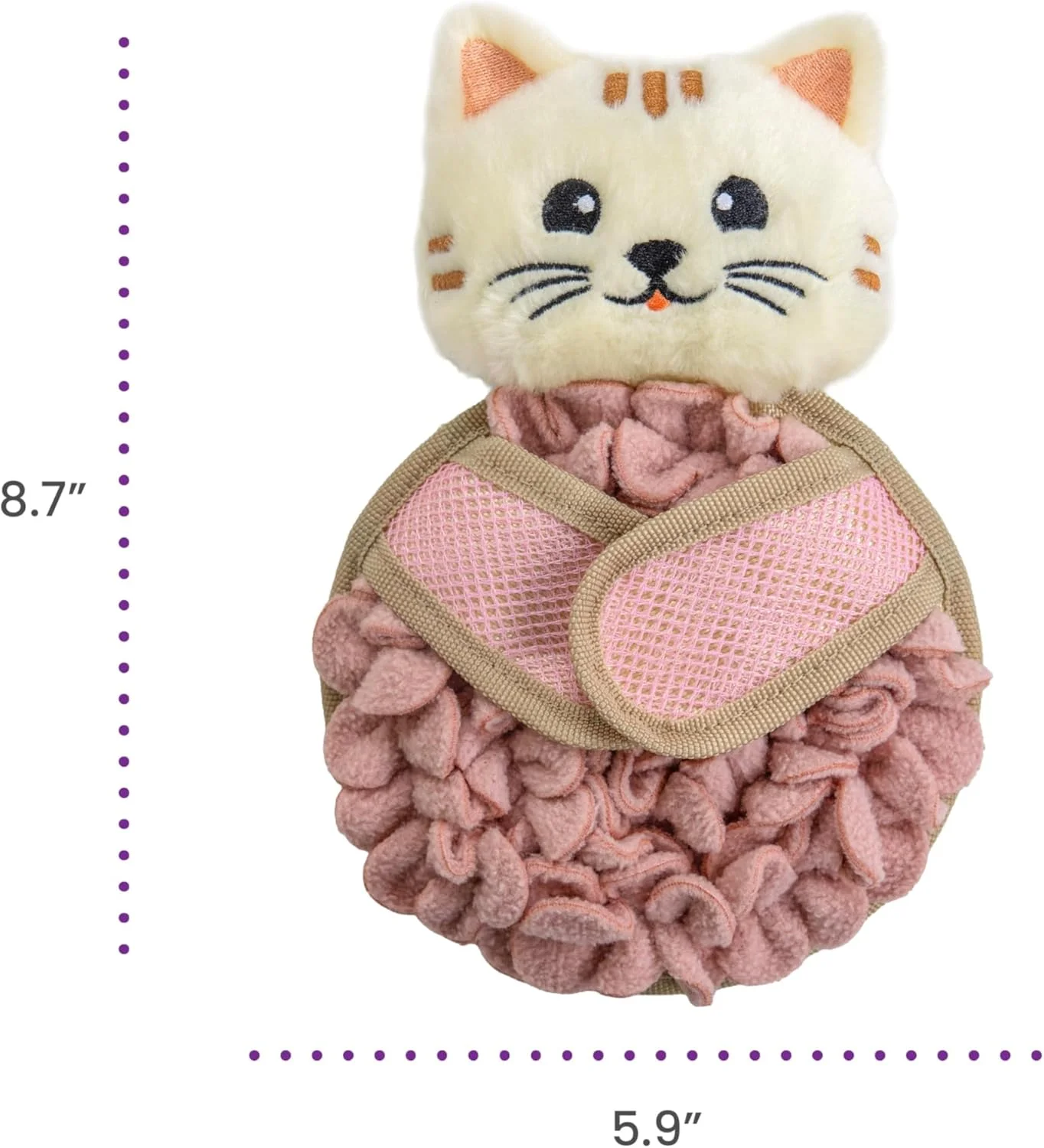 Cat sniffing out treats