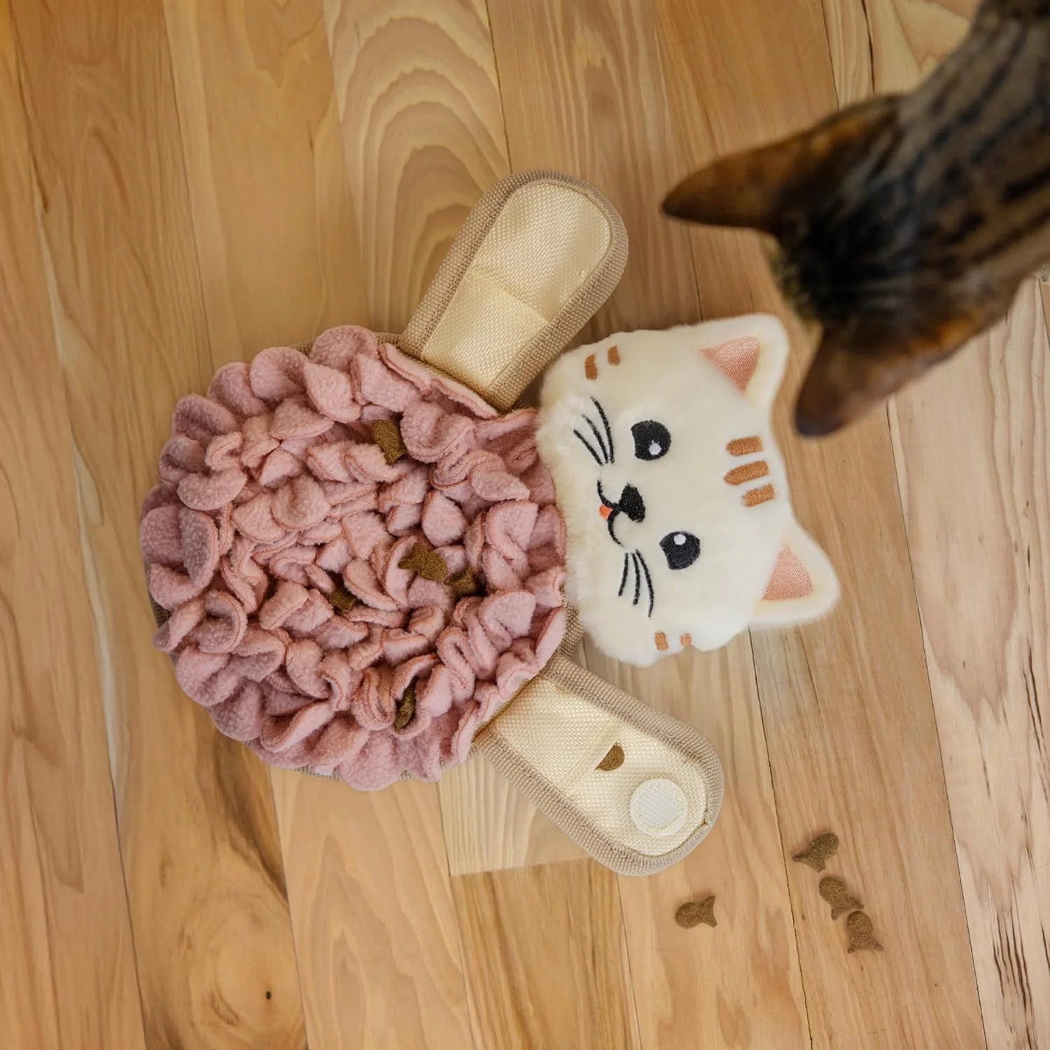 Happy cat resting near toy