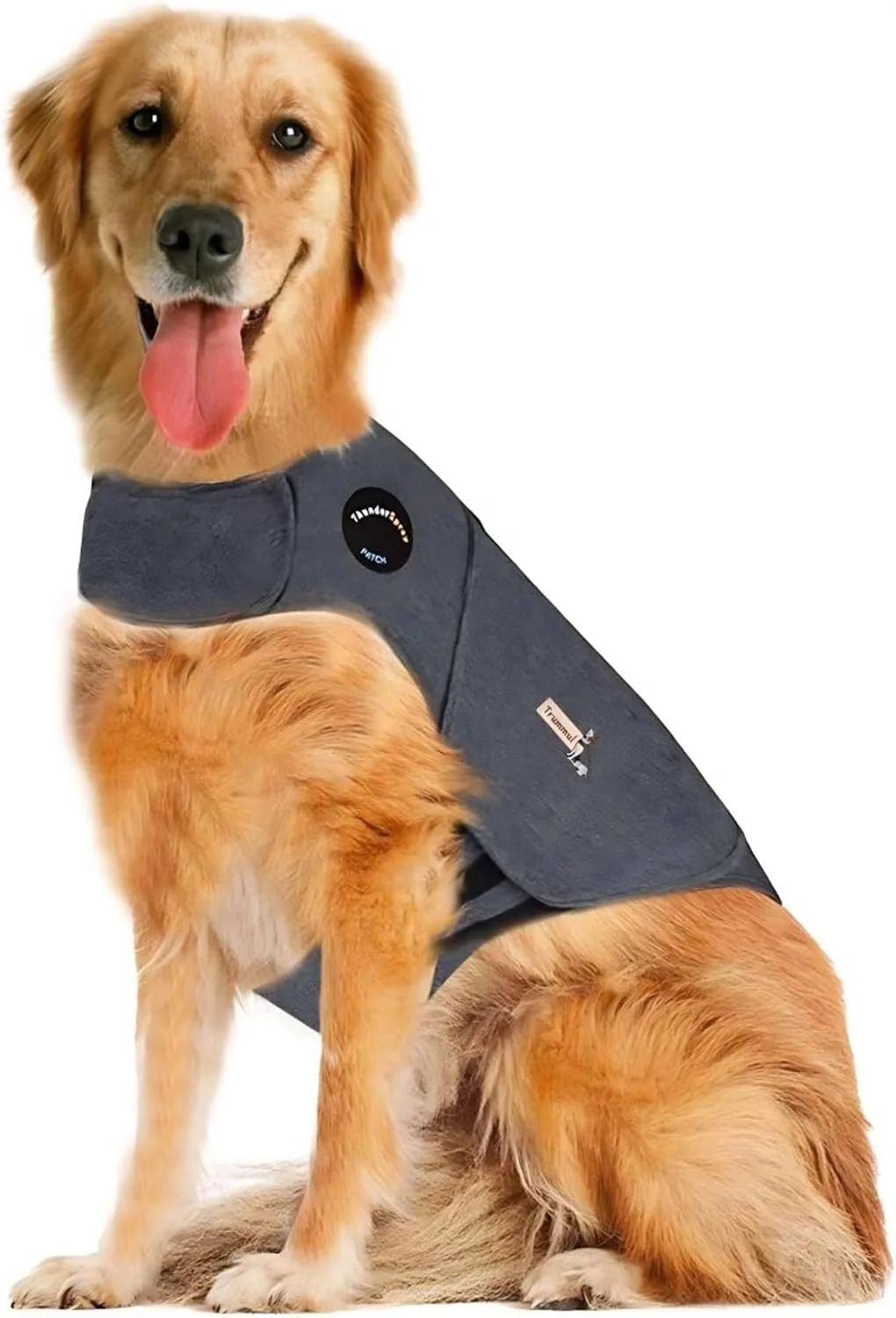 Large dog feeling calm wearing an anxiety wrap