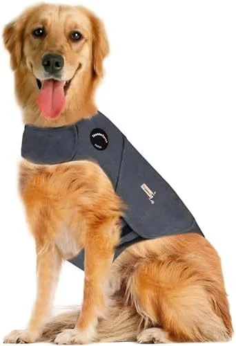 Happy dog after using the anxiety wrap