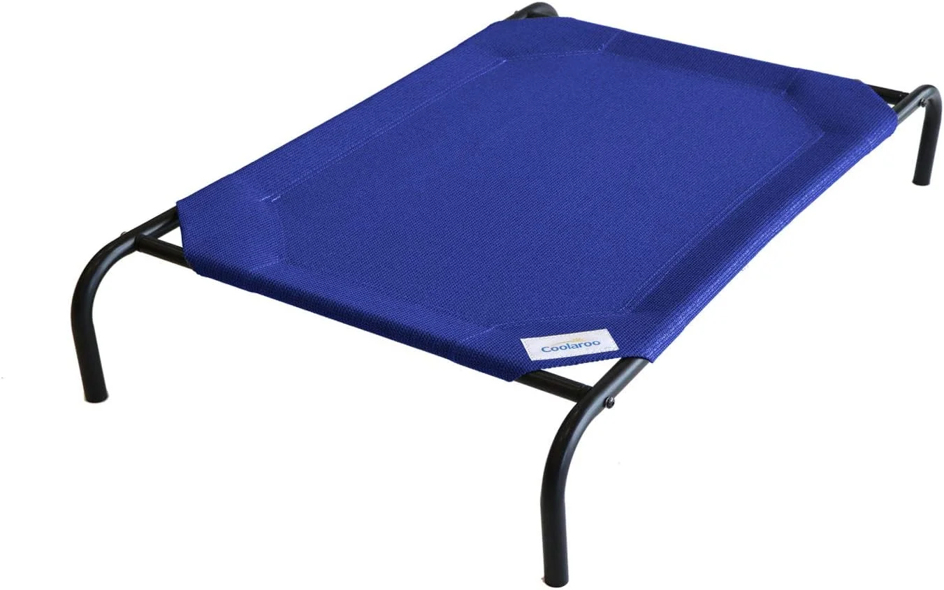 Senior dog resting comfortably on a Coolaroo elevated pet bed