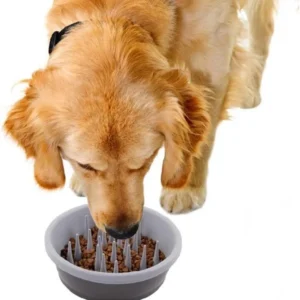 Dexas Slow Feeder Dog Bowl for Healthier Digestion, Teeth and Gums, 6 Cup Capacity, Gray view 2